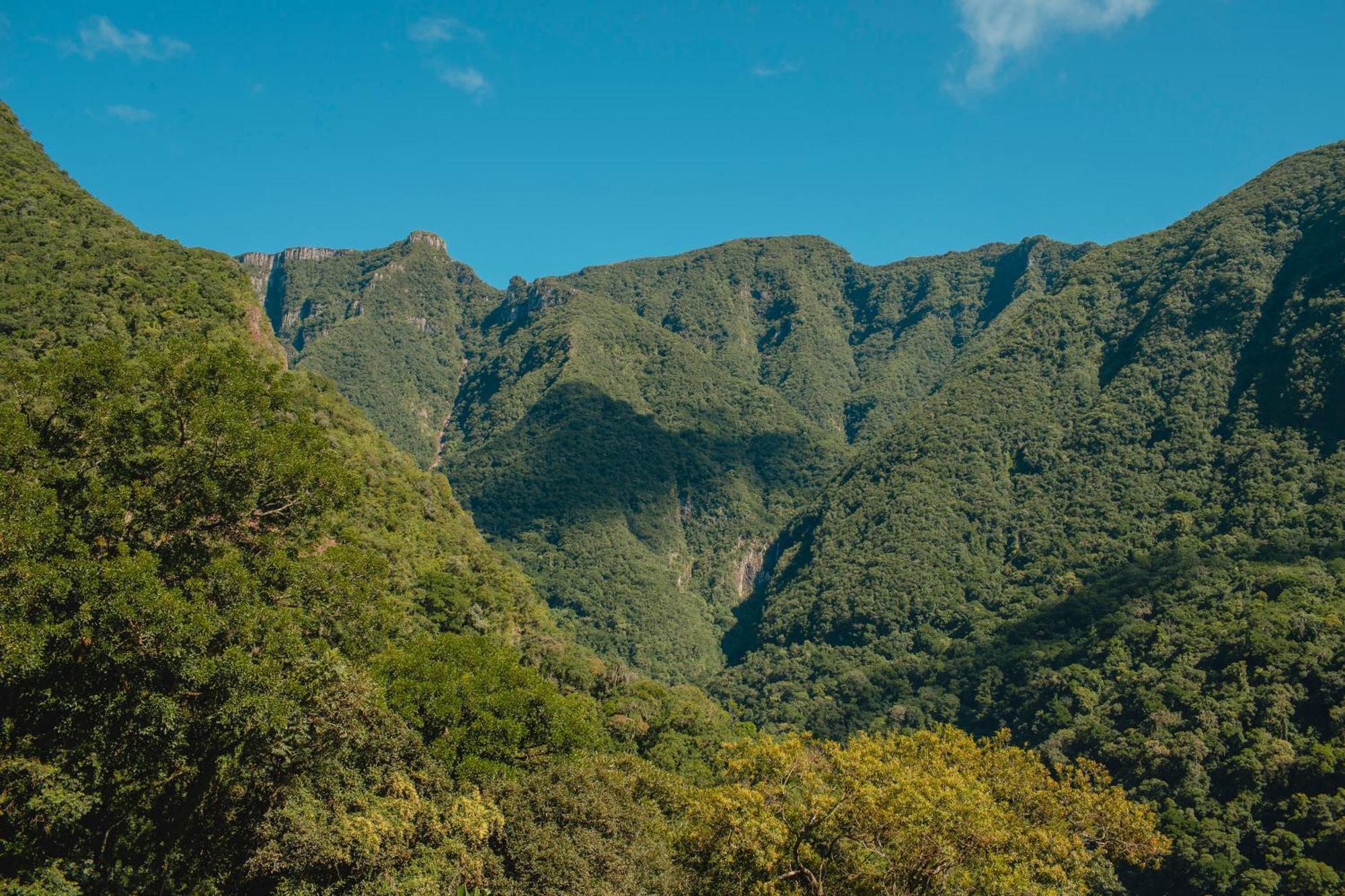 Pousada Bugio Da Serra Hotell Novo Horizonte  Exteriör bild